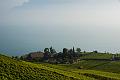 Vineyard and Lac Léman IMGP3422